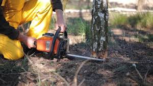 Best Lawn Grading and Leveling  in Enid, OK