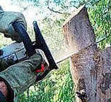 Best Hazardous Tree Removal  in Enid, OK