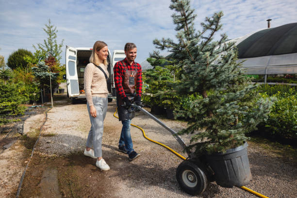Best Lawn Watering Services  in Enid, OK